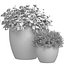 Flowerbed in a garden pot Flowers Garden Plant Flowerpot Patio Balcony in Provence style