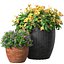 Flowerbed in a garden pot Flowers Garden Plant Flowerpot Patio Balcony in Provence style