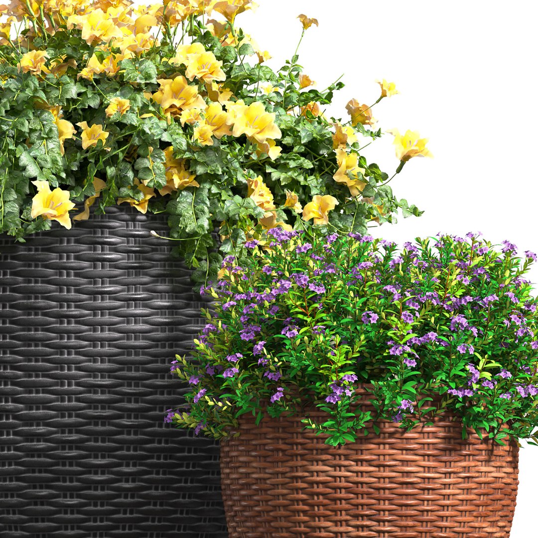 3D Flowerbed in a garden pot Flowers Garden Plant Flowerpot Patio Balcony in Provence style model https://p.turbosquid.com/ts-thumb/xW/KDInGT/Xb/3ddd2/jpg/1702398005/1920x1080/fit_q87/1f894d73f87cc947ccd24ddc4fe52b666c55e6a8/3ddd2.jpg