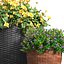 Flowerbed in a garden pot Flowers Garden Plant Flowerpot Patio Balcony in Provence style