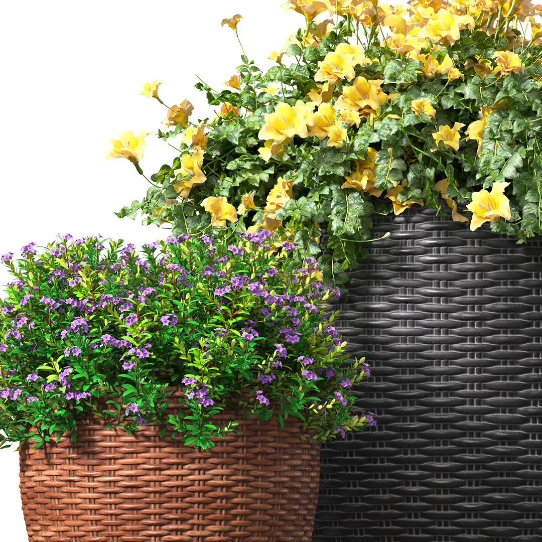 3D Flowerbed in a garden pot Flowers Garden Plant Flowerpot Patio Balcony in Provence style model https://p.turbosquid.com/ts-thumb/xW/KDInGT/lN/ff9/jpg/1702398007/1920x1080/fit_q87/fdd89f9839f307dfe922e2cb9c7ed99ea3aa7f9a/ff9.jpg