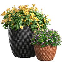 Flowerbed in a garden pot Flowers Garden Plant Flowerpot Patio Balcony in Provence style