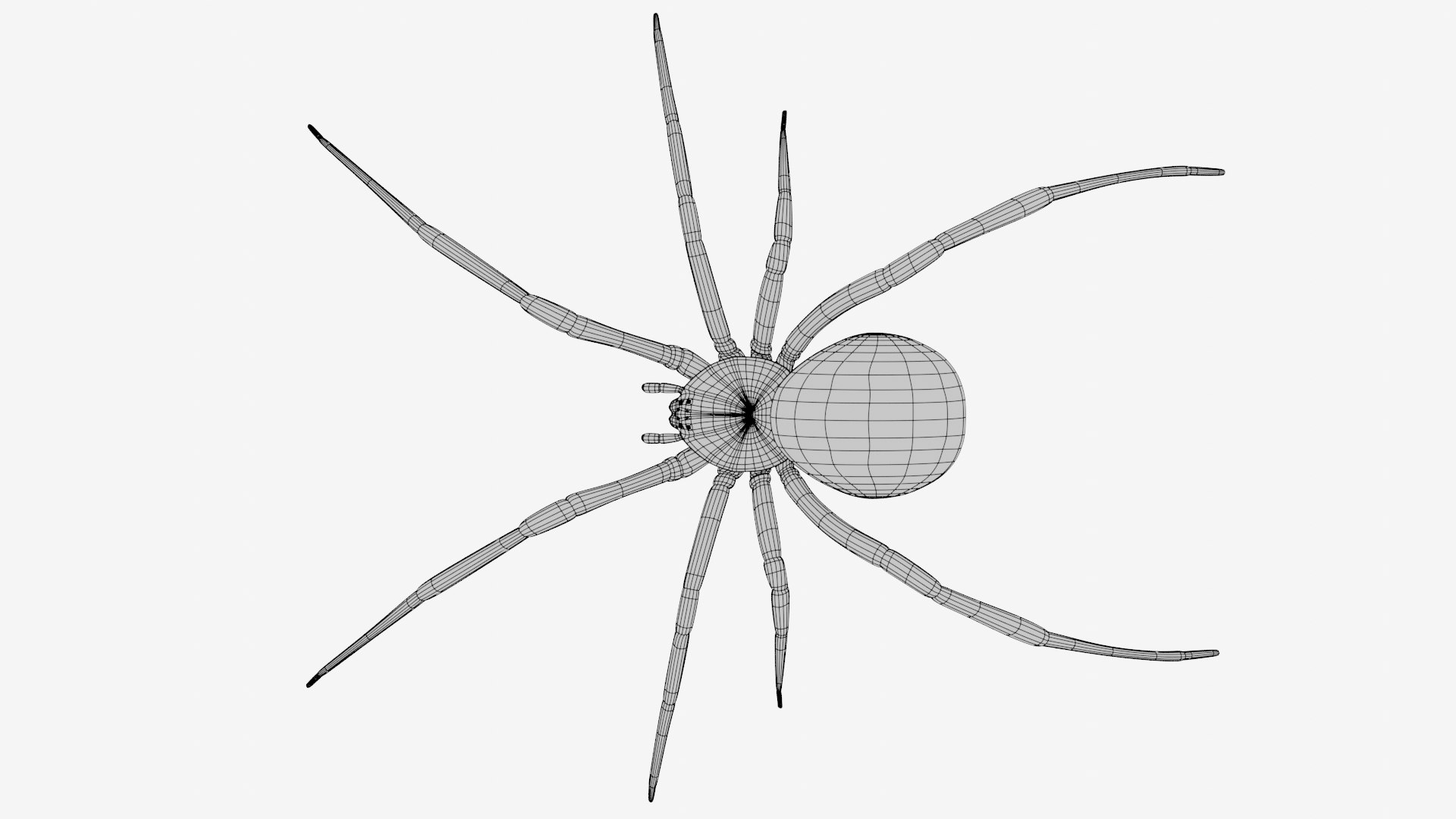 3D Spider - Rigged - TurboSquid 1875104