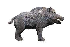 boar model