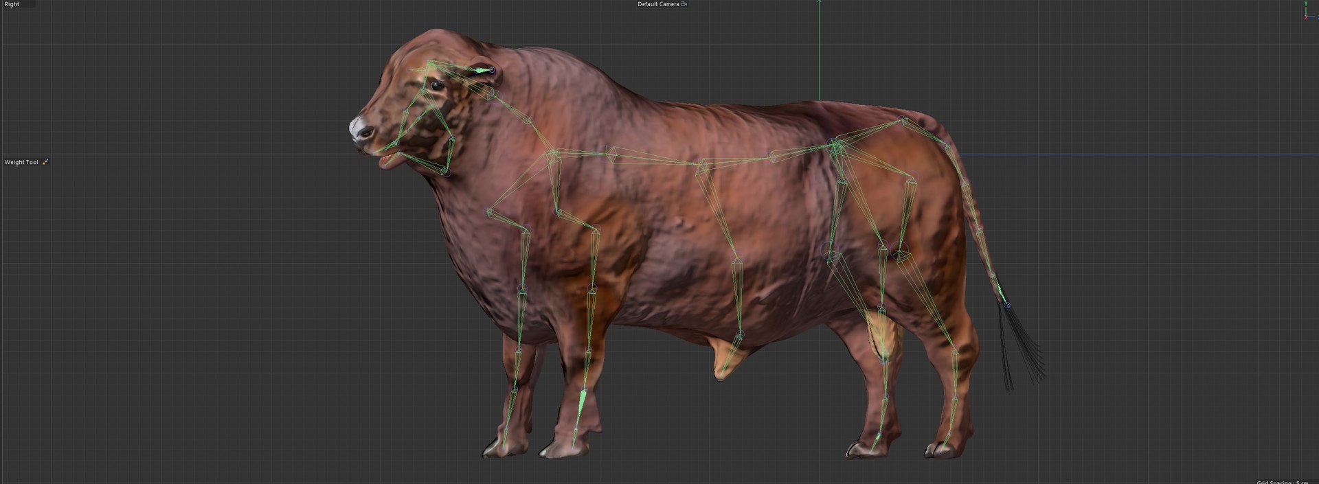 RED ANGUS Rigged L2056 3D model https://p.turbosquid.com/ts-thumb/xW/ZatOqL/2j/31/jpg/1700310107/1920x1080/fit_q87/9e7e44cdac0b910cd2b1e84b90c7650c4efdc584/31.jpg