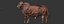 RED ANGUS Rigged L2056