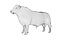 RED ANGUS Rigged L2056