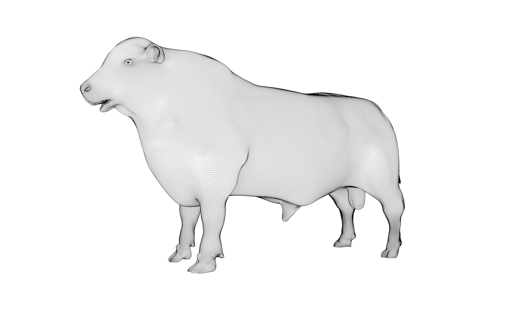 RED ANGUS Rigged L2056 3D model https://p.turbosquid.com/ts-thumb/xW/ZatOqL/8u/z0000/jpg/1700310193/1920x1080/turn_fit_q99/f1ee0dc29823e8891c50fca858b5efd92992fcef/z0000-1.jpg