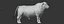 RED ANGUS Rigged L2056