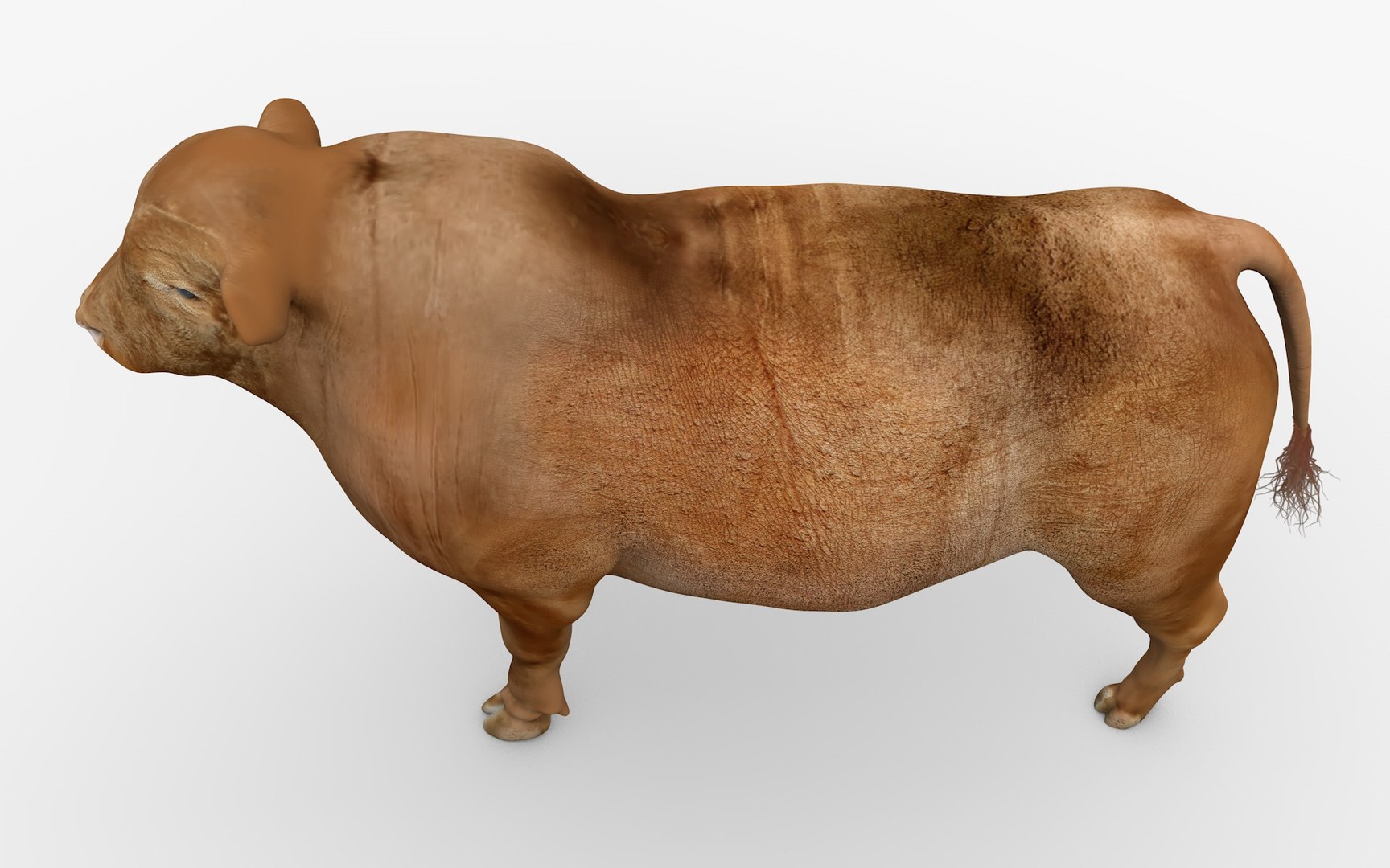RED ANGUS Rigged L2056 3D model https://p.turbosquid.com/ts-thumb/xW/ZatOqL/Fh/12_i10_0071/jpg/1700310069/1920x1080/fit_q87/712d59a9ebe7e356cc16de658f2809b3657f46d6/12_i10_0071.jpg