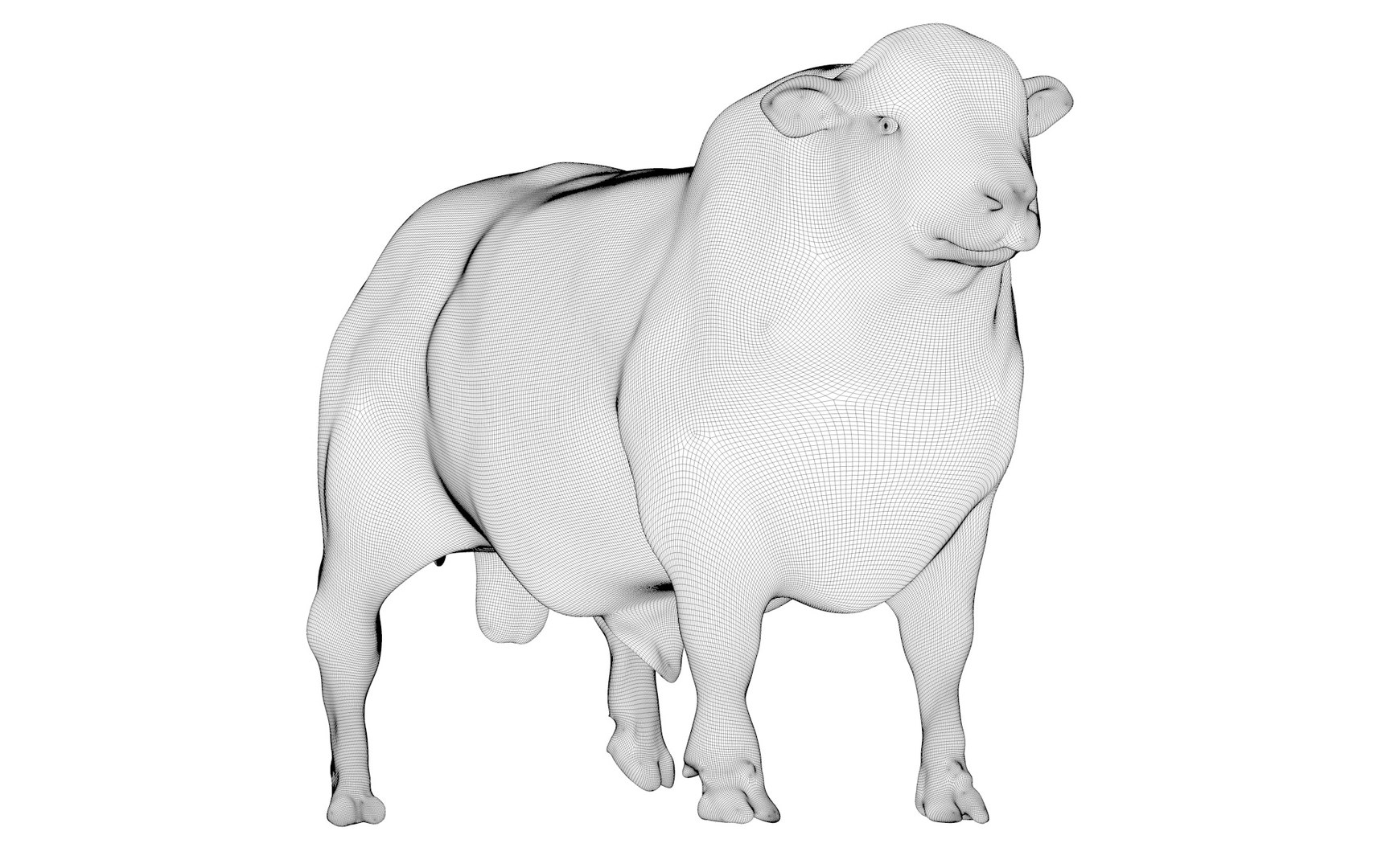 RED ANGUS Rigged L2056 3D model https://p.turbosquid.com/ts-thumb/xW/ZatOqL/GE/17_0033/jpg/1700310099/1920x1080/fit_q87/b04a566bf672cb23aabf843db5e41df90d5cb0bd/17_0033.jpg
