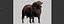 RED ANGUS Rigged L2056