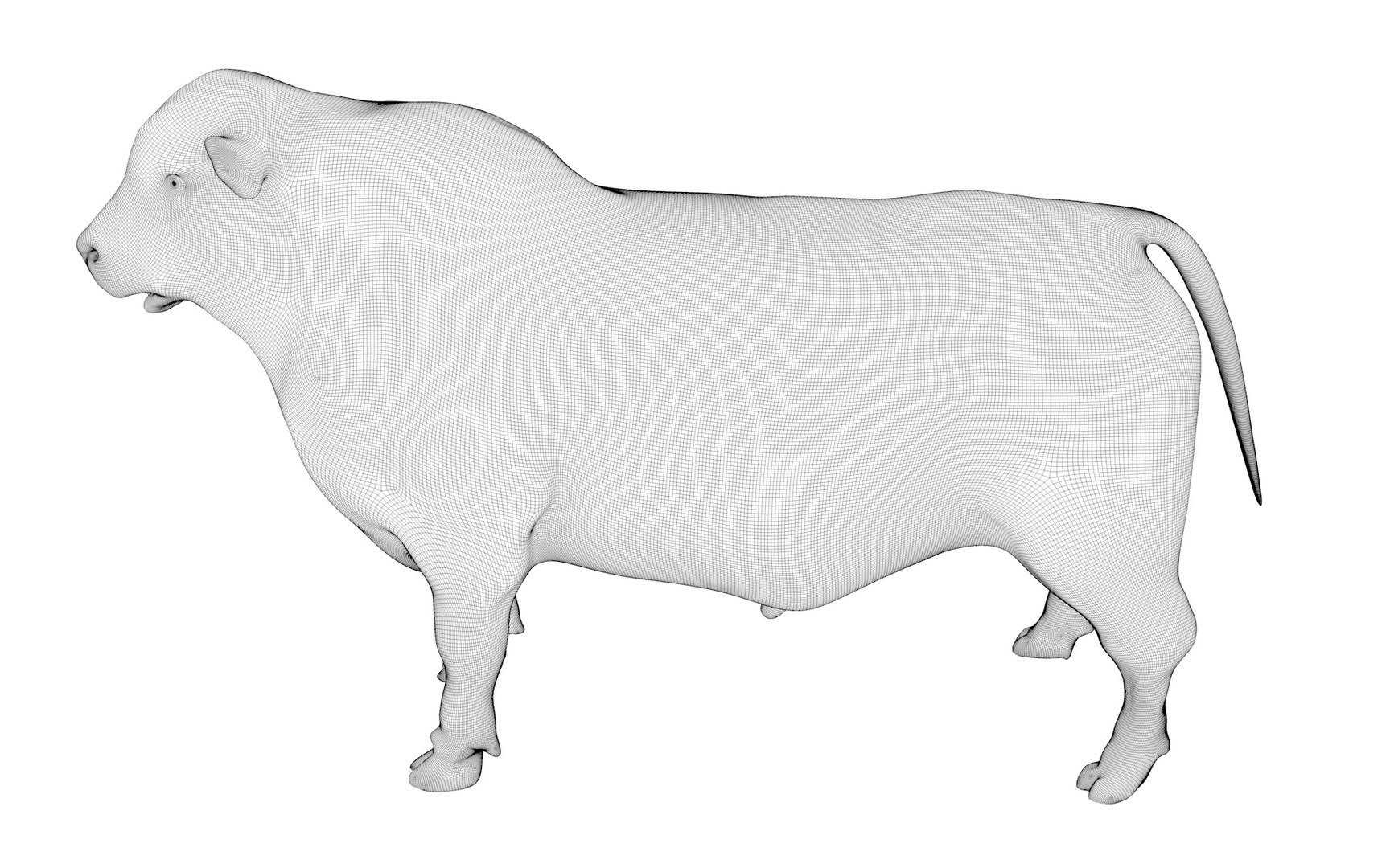 RED ANGUS Rigged L2056 3D model https://p.turbosquid.com/ts-thumb/xW/ZatOqL/Le/z02_0000/jpg/1700310091/1920x1080/fit_q87/facbdb53aab67a5184f0184b84c579b131353a9b/z02_0000.jpg