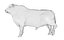 RED ANGUS Rigged L2056