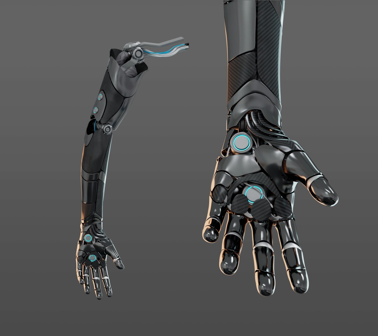 3D Hand Anatomy - TurboSquid 1605020