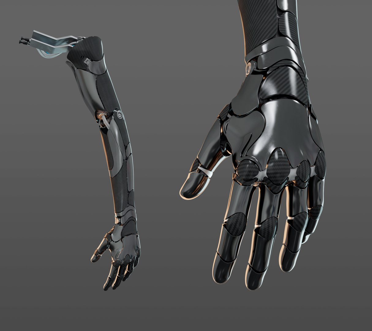 3D Hand Anatomy - TurboSquid 1605020