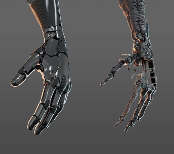 3D hand anatomy - TurboSquid 1605020