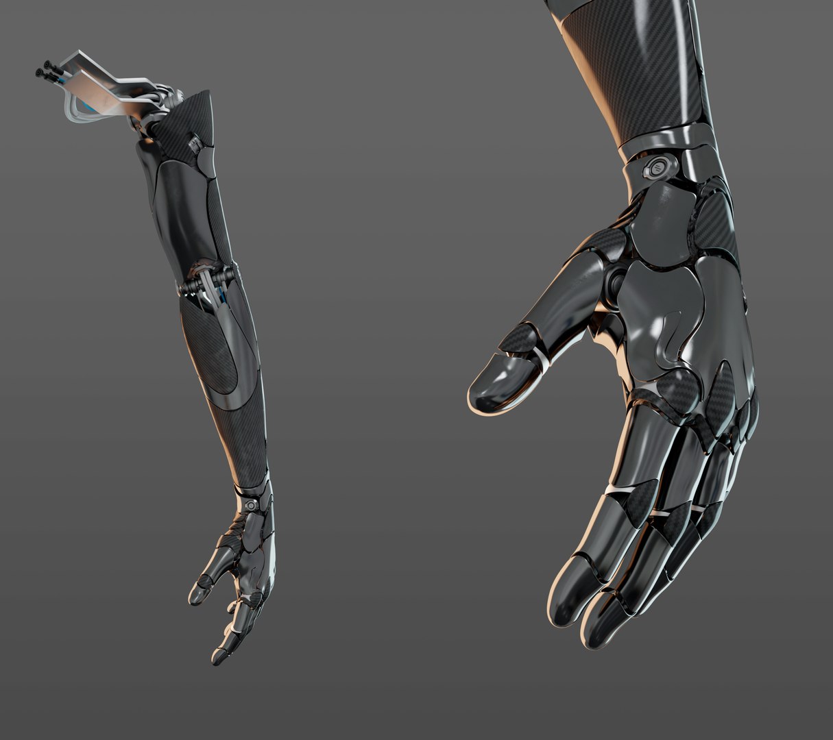 3D Hand Anatomy - TurboSquid 1605020