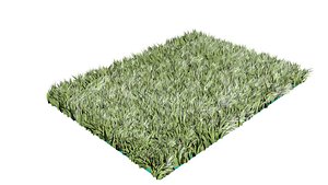 3D scanline grass lawns model