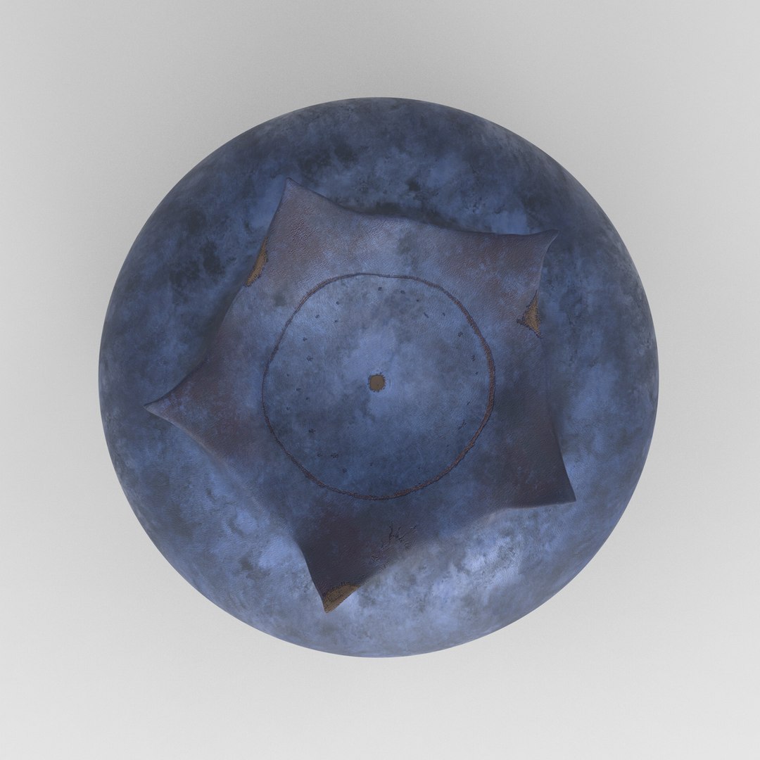 3D model blueberry https://p.turbosquid.com/ts-thumb/xW/l5qVhZ/DO/2/jpg/1649267988/1920x1080/fit_q87/201996f4f18d48e4209dc30754fb8df01fdbd448/2.jpg