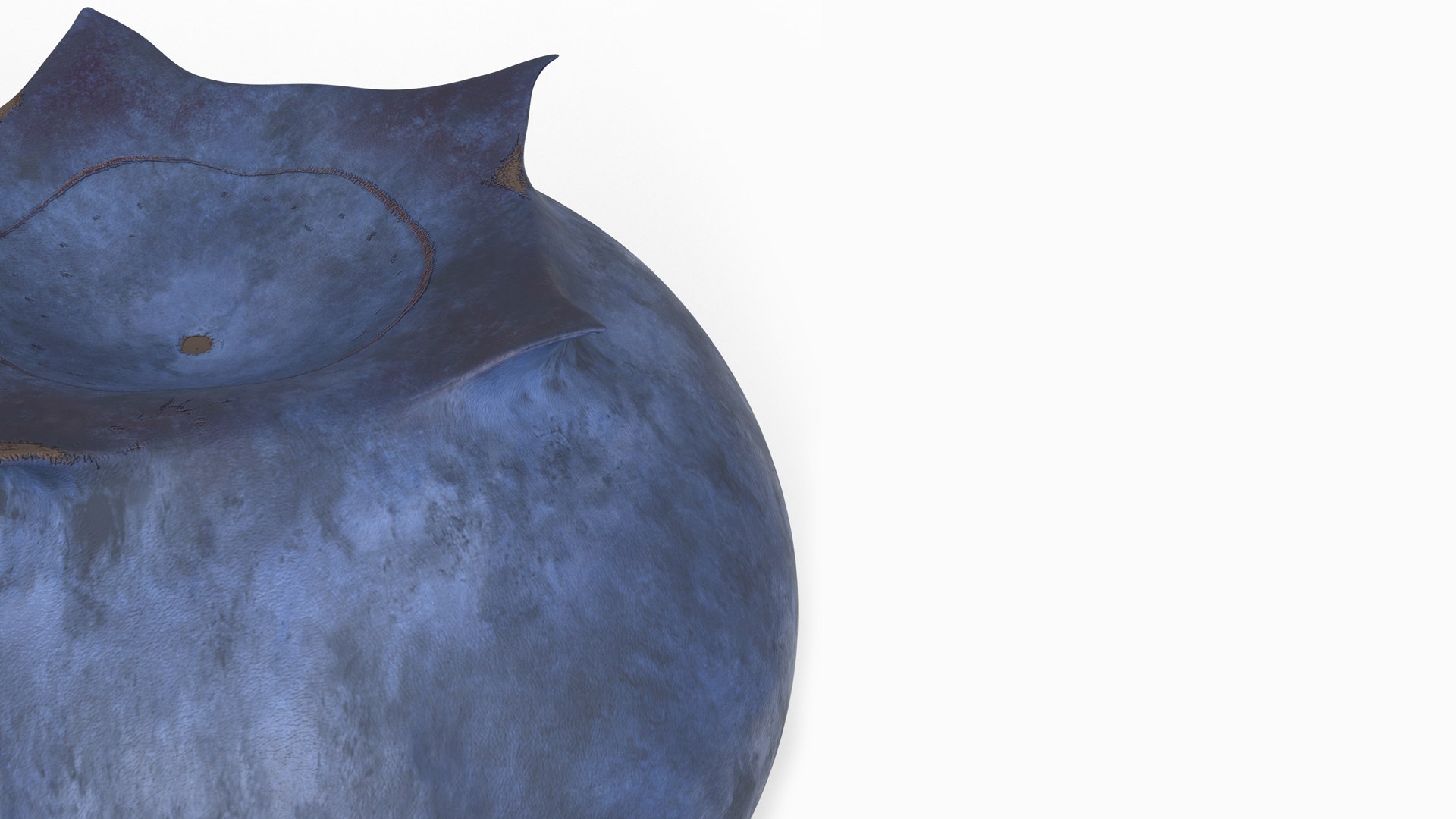 3D model blueberry https://p.turbosquid.com/ts-thumb/xW/l5qVhZ/De/6/jpg/1649270171/1920x1080/fit_q87/36927bb28cd655597b298662862f0da94527eeb9/6.jpg