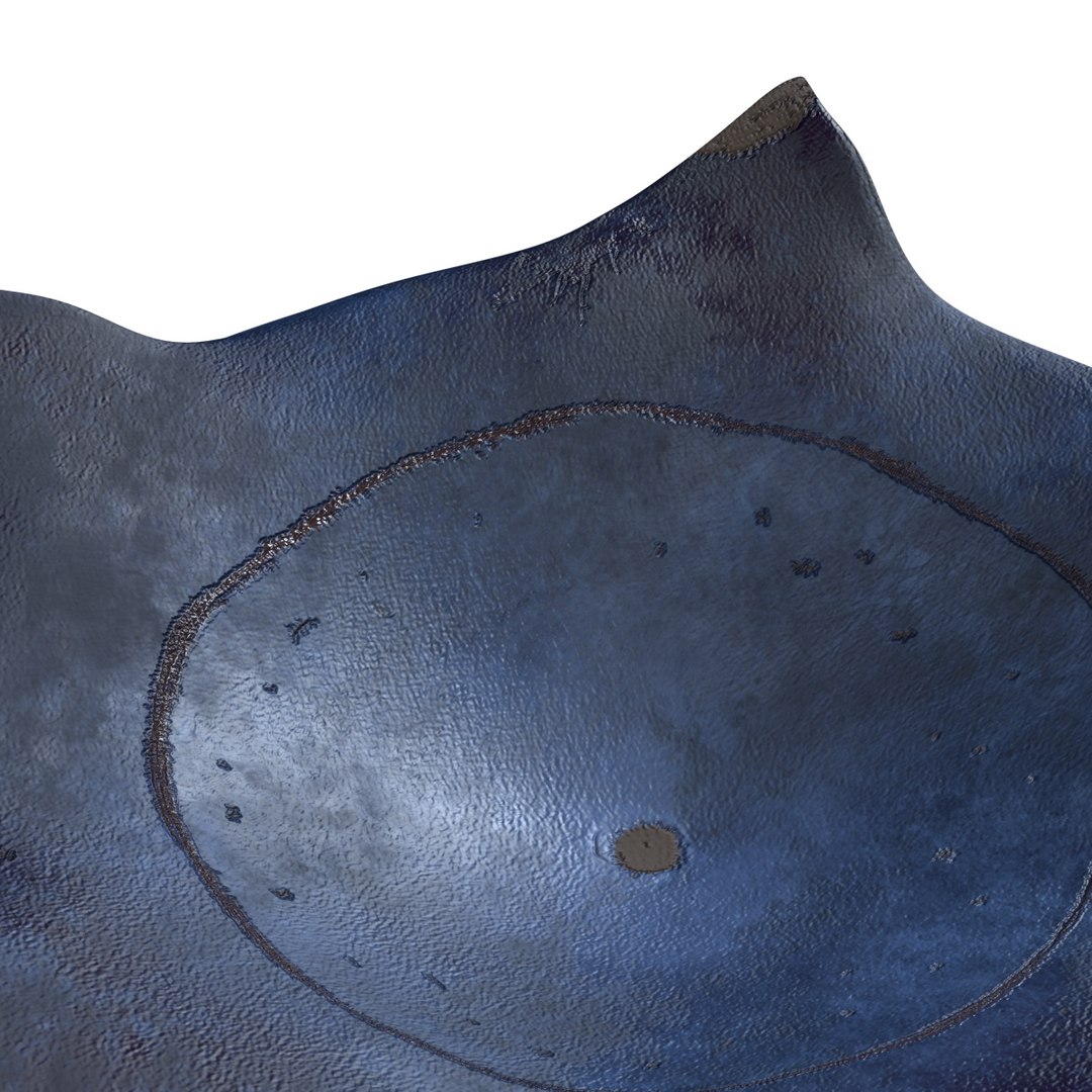 3D model blueberry https://p.turbosquid.com/ts-thumb/xW/l5qVhZ/Z3/blueberry5/jpg/1649269988/1920x1080/fit_q87/c0590f20da96bf9571cdfce9862e83258a01cb8a/blueberry5.jpg