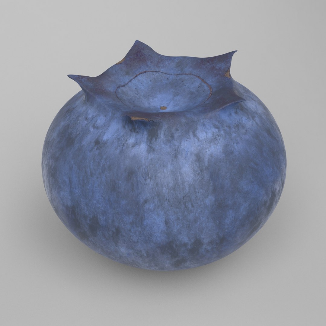3D model blueberry https://p.turbosquid.com/ts-thumb/xW/l5qVhZ/hO/1/jpg/1649270210/1920x1080/fit_q87/41d3ed5d2f34092711275b447ca5ab507921c9cc/1.jpg