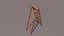 Wooden Ladder