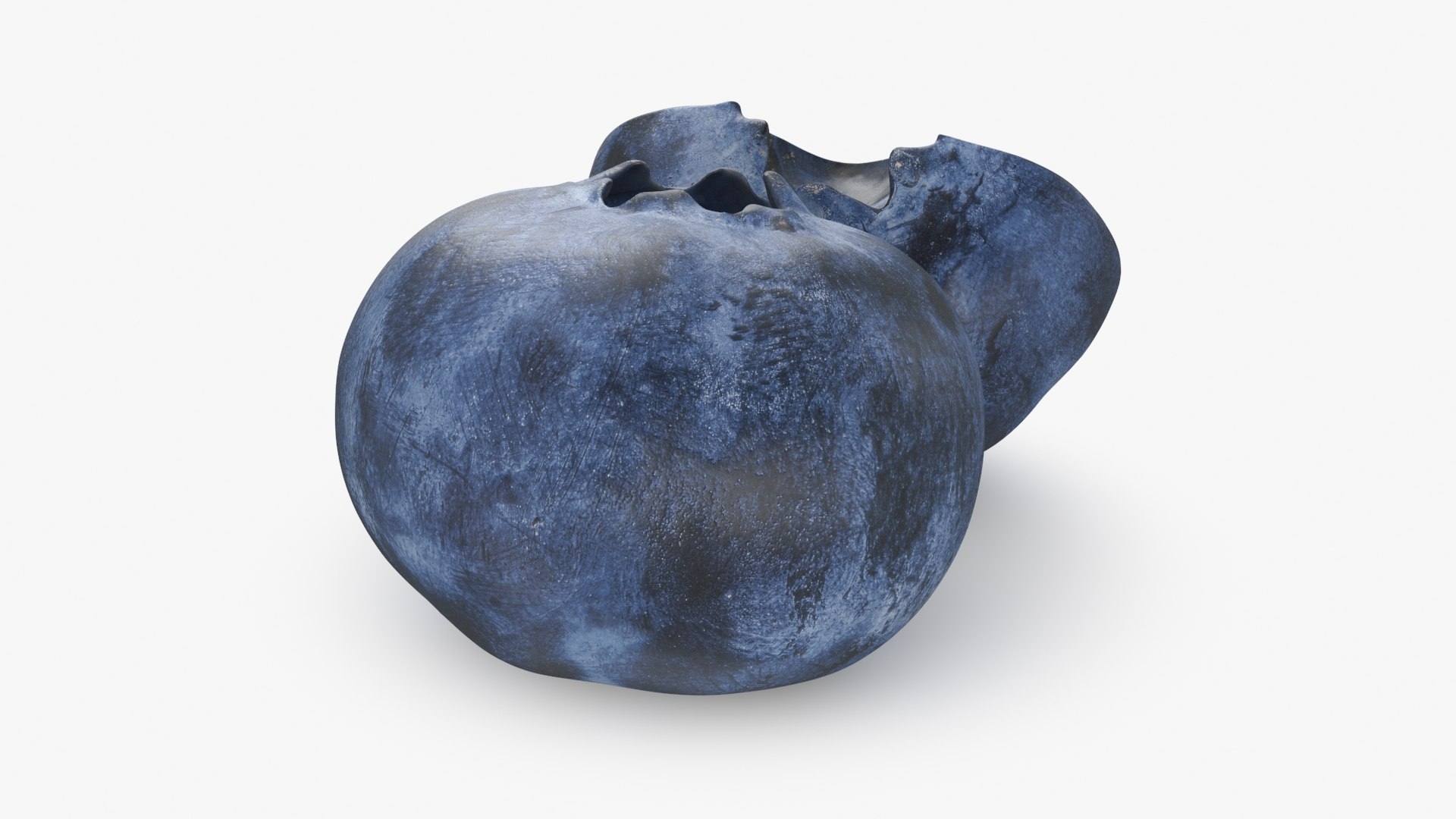 Whole And Half Blueberries 3D Model - TurboSquid 2199417