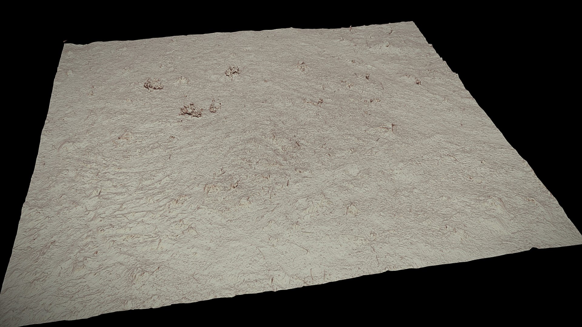 3D forest ground square area photogrammetry https://p.turbosquid.com/ts-thumb/xW/vgVFpl/1g/preview5/jpg/1725131028/1920x1080/fit_q87/a268617bb8b203d7a90ac2e00ad270ef7d309a49/preview5.jpg