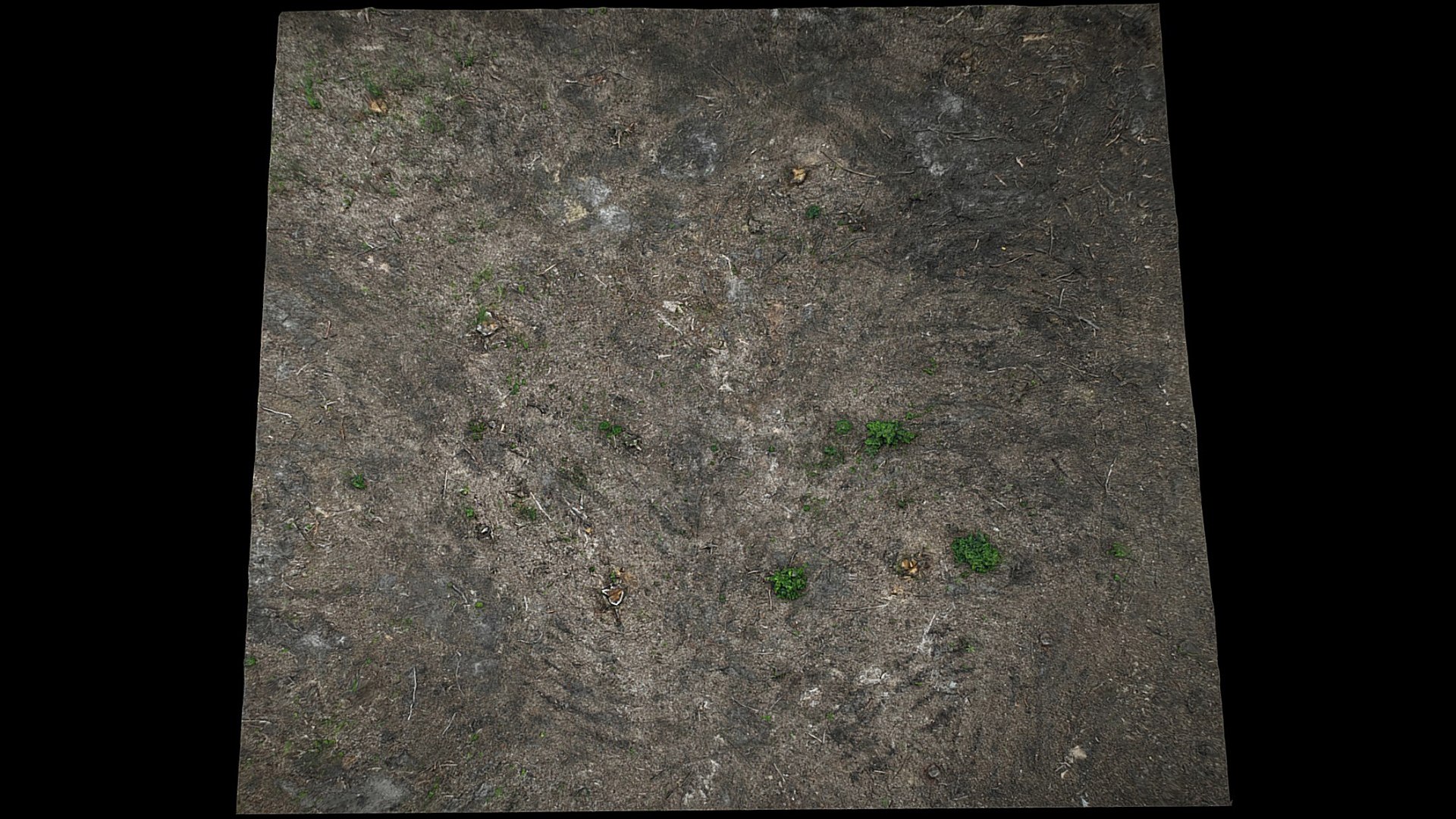 3D forest ground square area photogrammetry https://p.turbosquid.com/ts-thumb/xW/vgVFpl/22/preview3/jpg/1725131028/1920x1080/fit_q87/a4392849121c740cede640de1afee201263bf7ea/preview3.jpg
