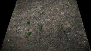 forest ground square area photogrammetry