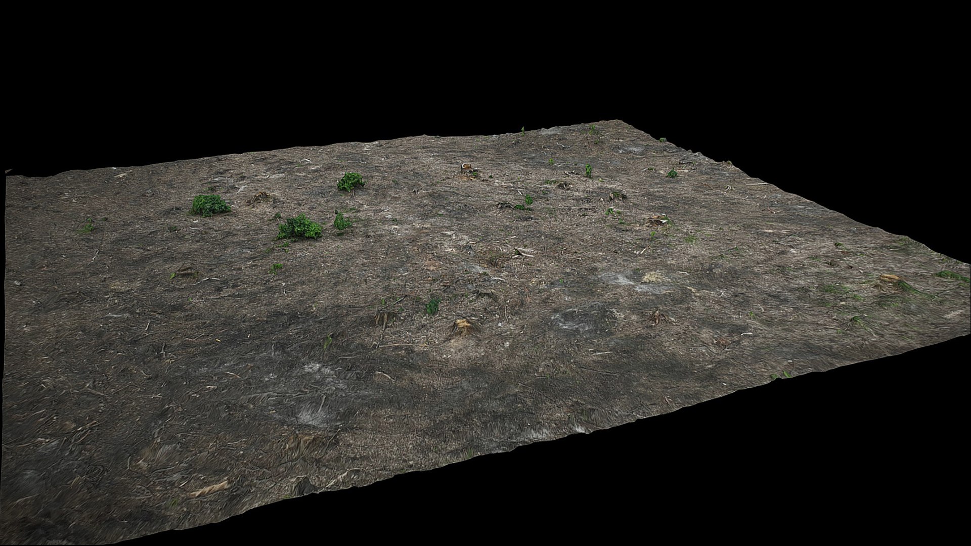 3D forest ground square area photogrammetry https://p.turbosquid.com/ts-thumb/xW/vgVFpl/U7/preview4/jpg/1725131028/1920x1080/fit_q87/a46a132b42e96c2b74acf4cb4865c2ff69757daa/preview4.jpg