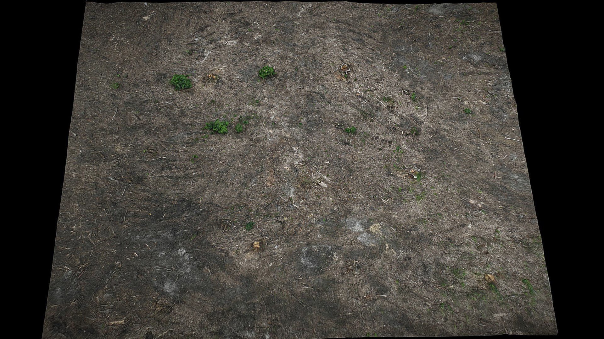 3D forest ground square area photogrammetry https://p.turbosquid.com/ts-thumb/xW/vgVFpl/kq/preview2/jpg/1725131027/1920x1080/fit_q87/584511b96d530fd64f3cbe4167bc648bbba4fbc3/preview2.jpg