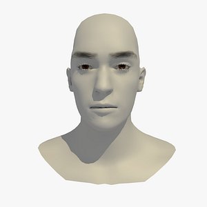 Rigged 24 Year Old European Male Base Head Mesh V1