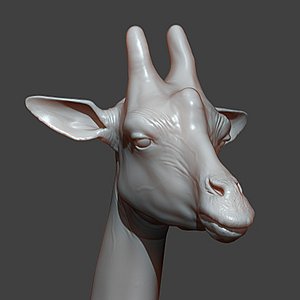 3D model Giraffe Head Highpoly Sculpt