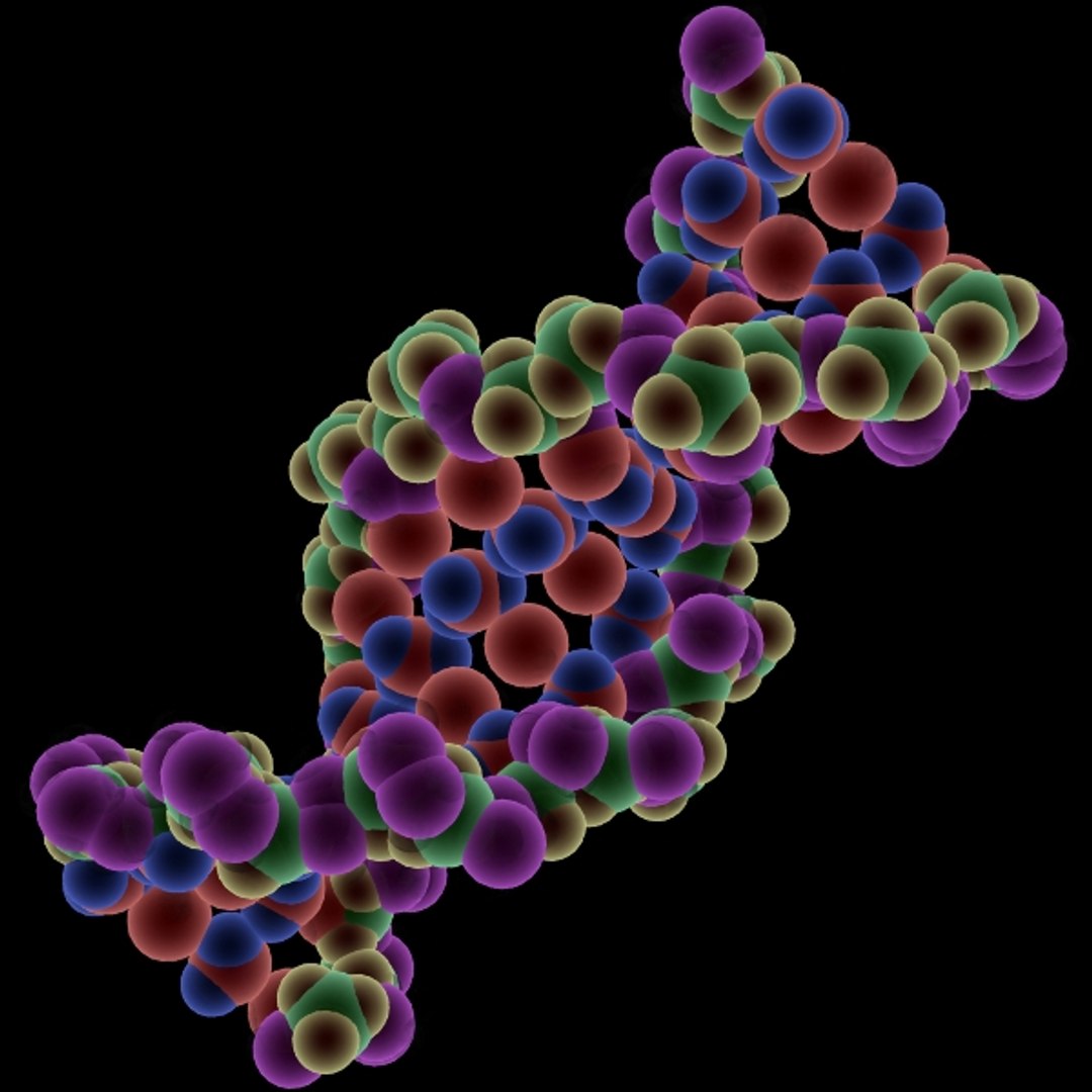 dna molecule 3d 3ds https://p.turbosquid.com/ts-thumb/xX/6auKtN/bS6aCnDu/dna31/jpg/1304661613/1920x1080/fit_q87/f416776a54fd6fba8122d377317749b4c8b60c8c/dna31.jpg