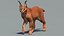 3D Caracal Animated