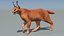 3D Caracal Animated