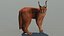 3D Caracal Animated