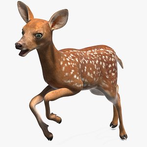 White-Tailed Fawn Deer Rigged for Maya