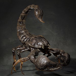 3D animal scorpion