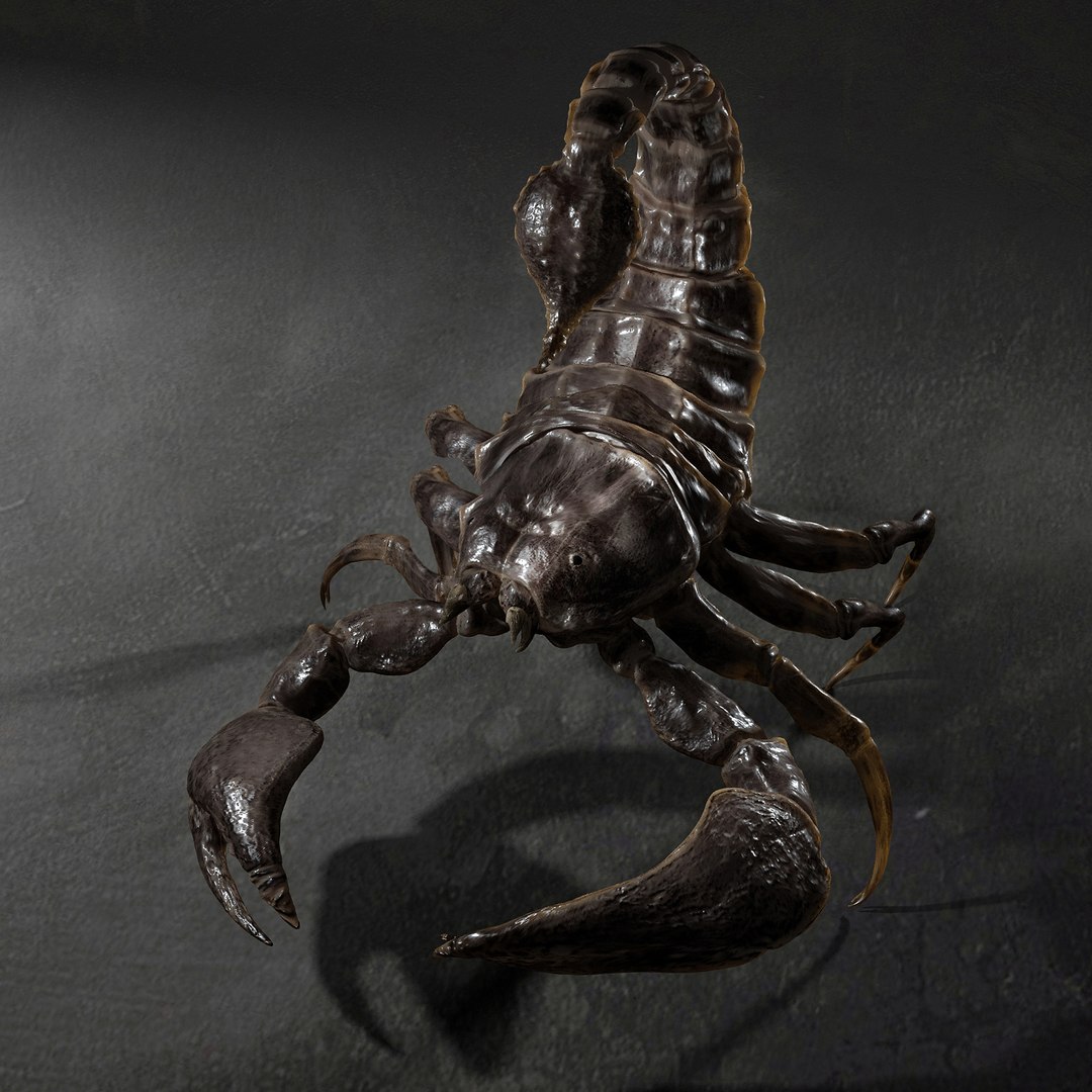 3D animal scorpion https://p.turbosquid.com/ts-thumb/xX/MKYSJ5/Wk/555/jpg/1662598594/1920x1080/fit_q87/ee1aa0e9257ea5462bda1f5717144dcbf273a665/555.jpg