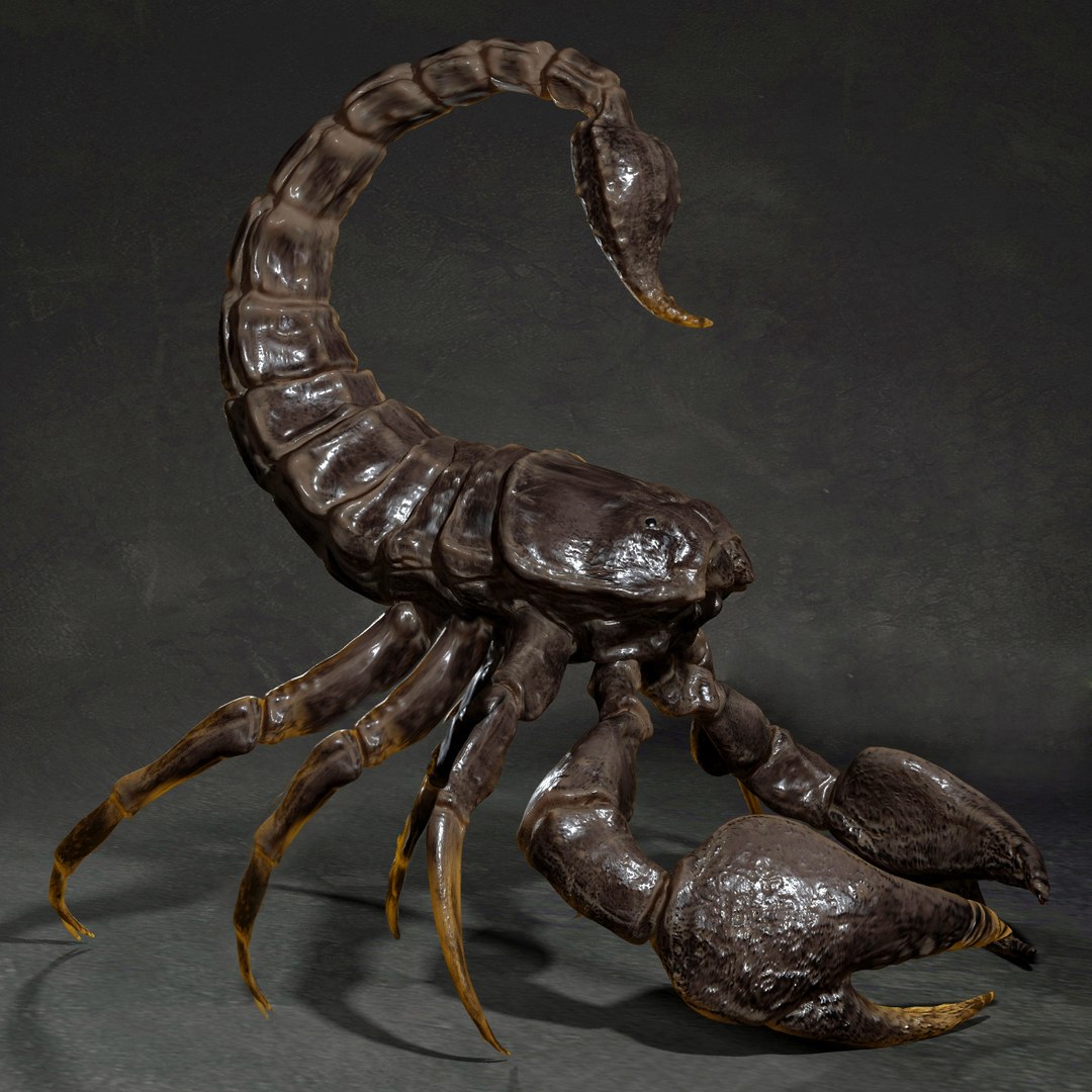 3D animal scorpion https://p.turbosquid.com/ts-thumb/xX/MKYSJ5/cG/2/jpg/1662598591/1920x1080/fit_q87/6f7f1bc95af0fc52cbb324257b65ef3b9108b68a/2.jpg
