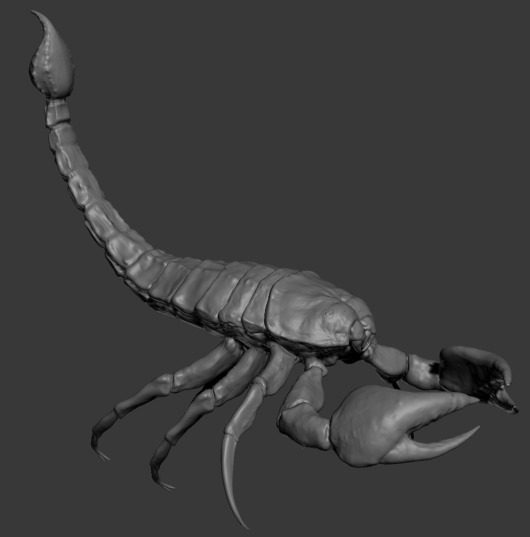 3D animal scorpion https://p.turbosquid.com/ts-thumb/xX/MKYSJ5/ir/mesh/jpg/1662598596/1920x1080/fit_q87/5ce4c4e1fdc3e21dbf04b545d02cb7e5a66cc063/mesh.jpg