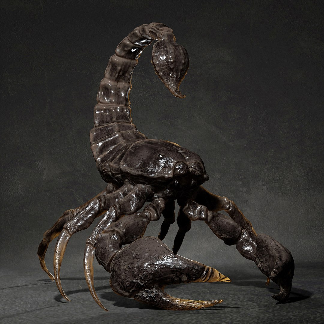 3D animal scorpion https://p.turbosquid.com/ts-thumb/xX/MKYSJ5/w4/1111/jpg/1662598595/1920x1080/fit_q87/fbf004331872da17bf9989daeb5791731a46e7f3/1111.jpg