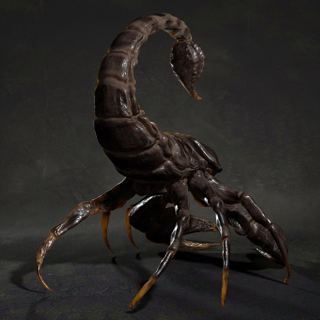 3D animal scorpion https://p.turbosquid.com/ts-thumb/xX/MKYSJ5/zP/3/jpg/1662598591/1920x1080/fit_q87/e78ae5d96cdf854ef9e41076a35ba4b847c4fd20/3.jpg