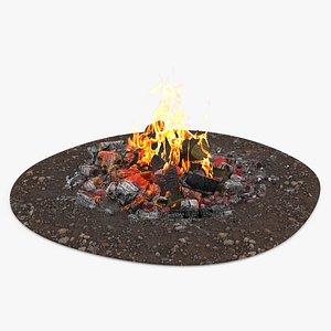 Bonfire Burning with Fire Ashes