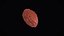 Raisin