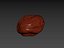 Raisin